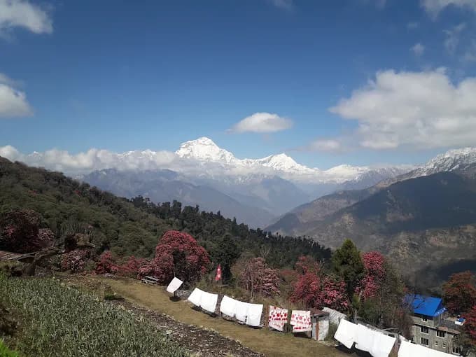 Photo 3: ghorepani poonhill mountain view 1785843986849 0624iw