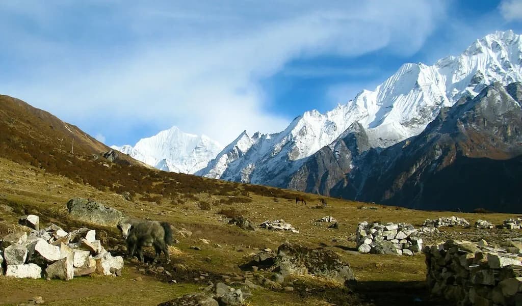 Photo 3: upper langtang valley trek nepal 1785910216134 j173zp