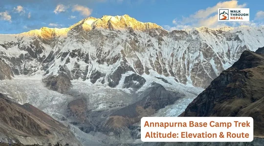 Annapurna Base Camp Trek Altitude: Elevation, Route & Acclimatization