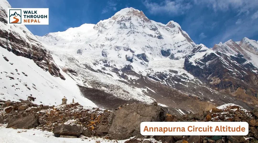 Annapurna Circuit Trek Altitude: How High Does the Trek Really Go?