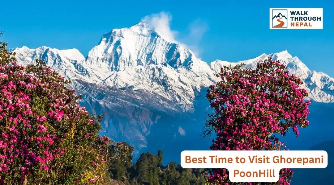 Best Time for Ghorepani Poon Hill Trek: Month-by-Month Guide