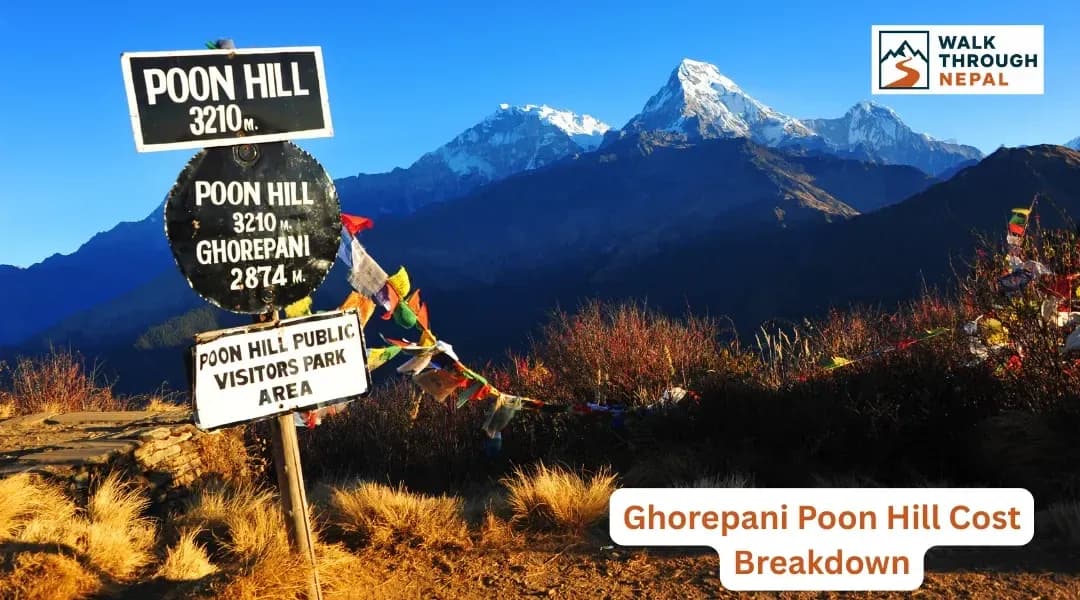Ghorepani Poon Hill Trek Cost: Complete Budget Guide for 2026