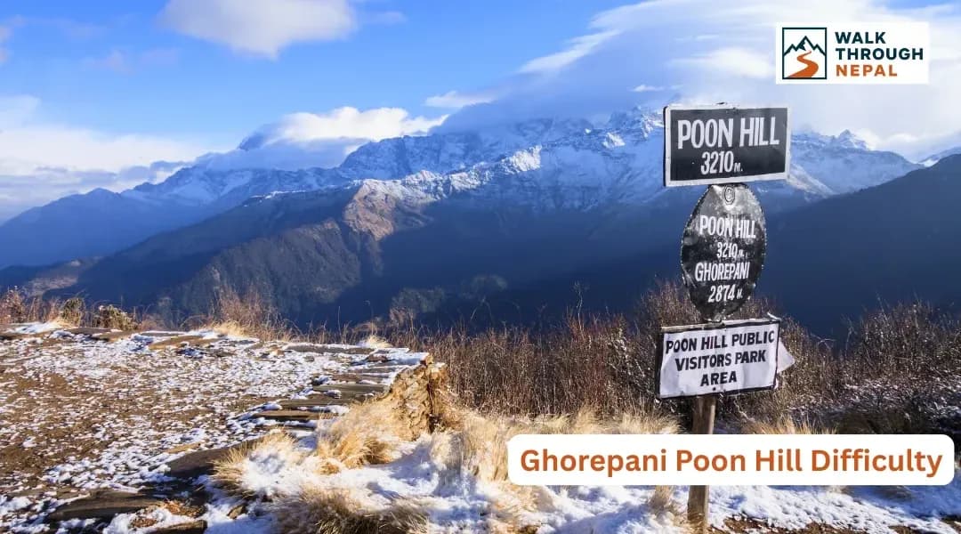 Ghorepani Poon Hill Trek Difficulty: How Hard Is the Trek?