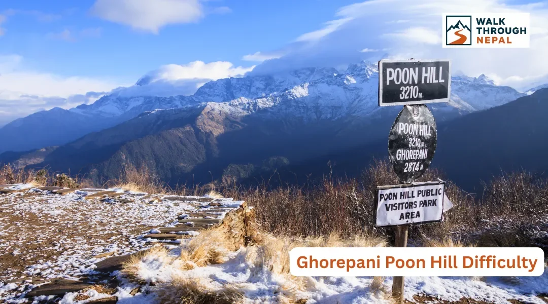 Ghorepani Poon Hill Trek Difficulty: How Hard Is the Trek?