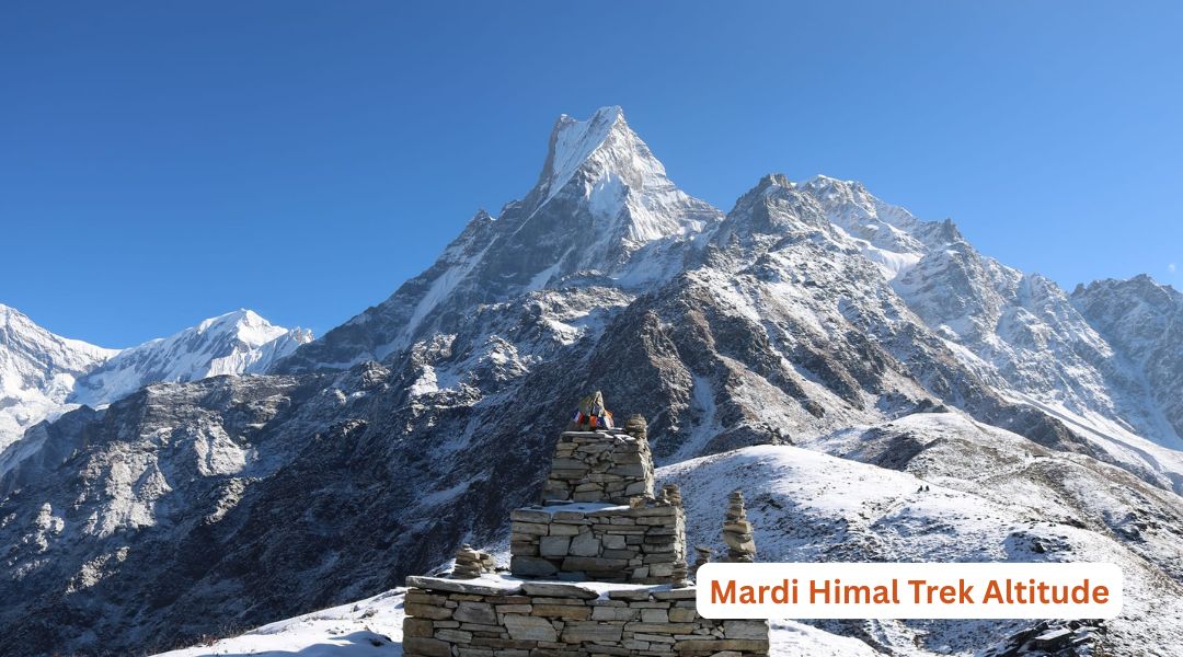 Mardi Himal Trek Altitude: Elevation, Highest Point & Altitude Gain