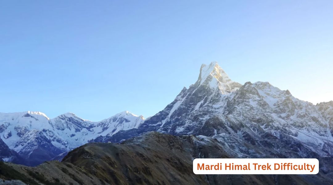 Mardi Himal Trek Difficulty: A Guide to Fitness, Altitude & Trail Conditions
