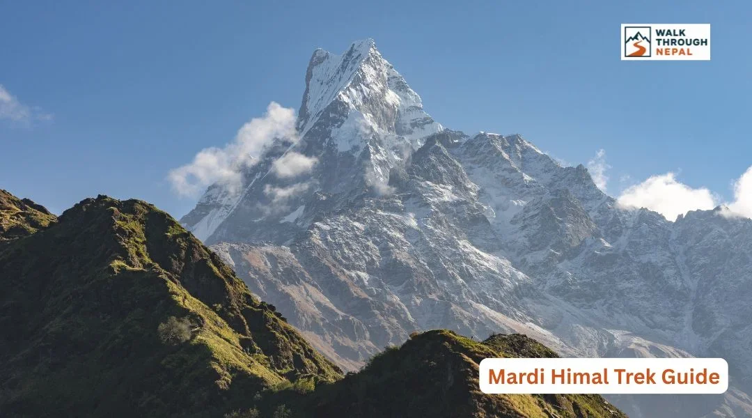 Mardi Himal Trek Guide: Route, Itinerary, Cost, Difficulty & Best Time
