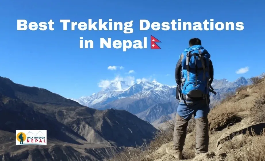 Best Beginner Treks in Nepal: Where to Start Your First Trek
