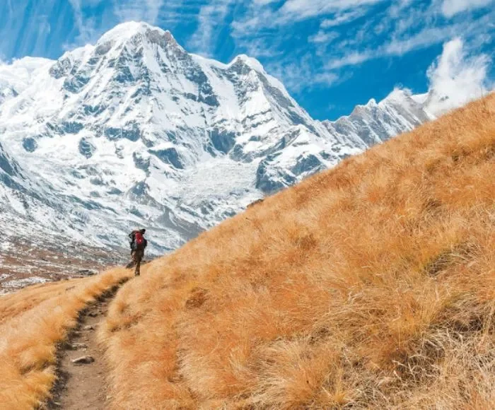 abc trek autumn