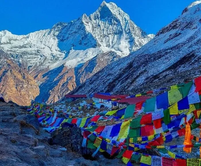 abc trek view