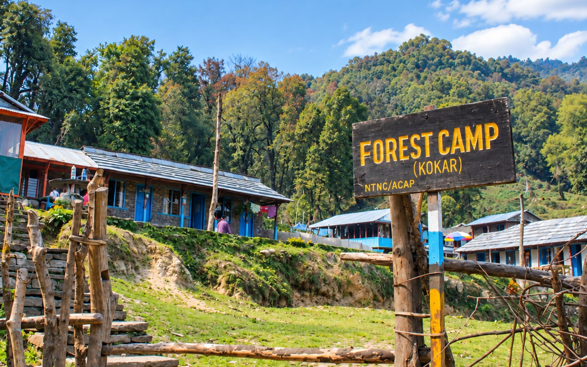 forest camp
