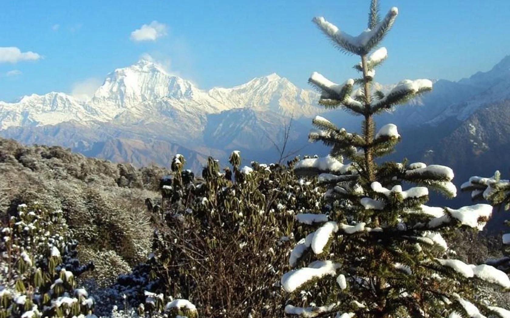 poon hill view during winter