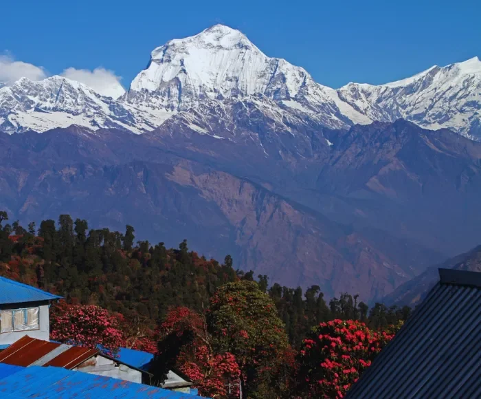 poonhill with clear mountain view