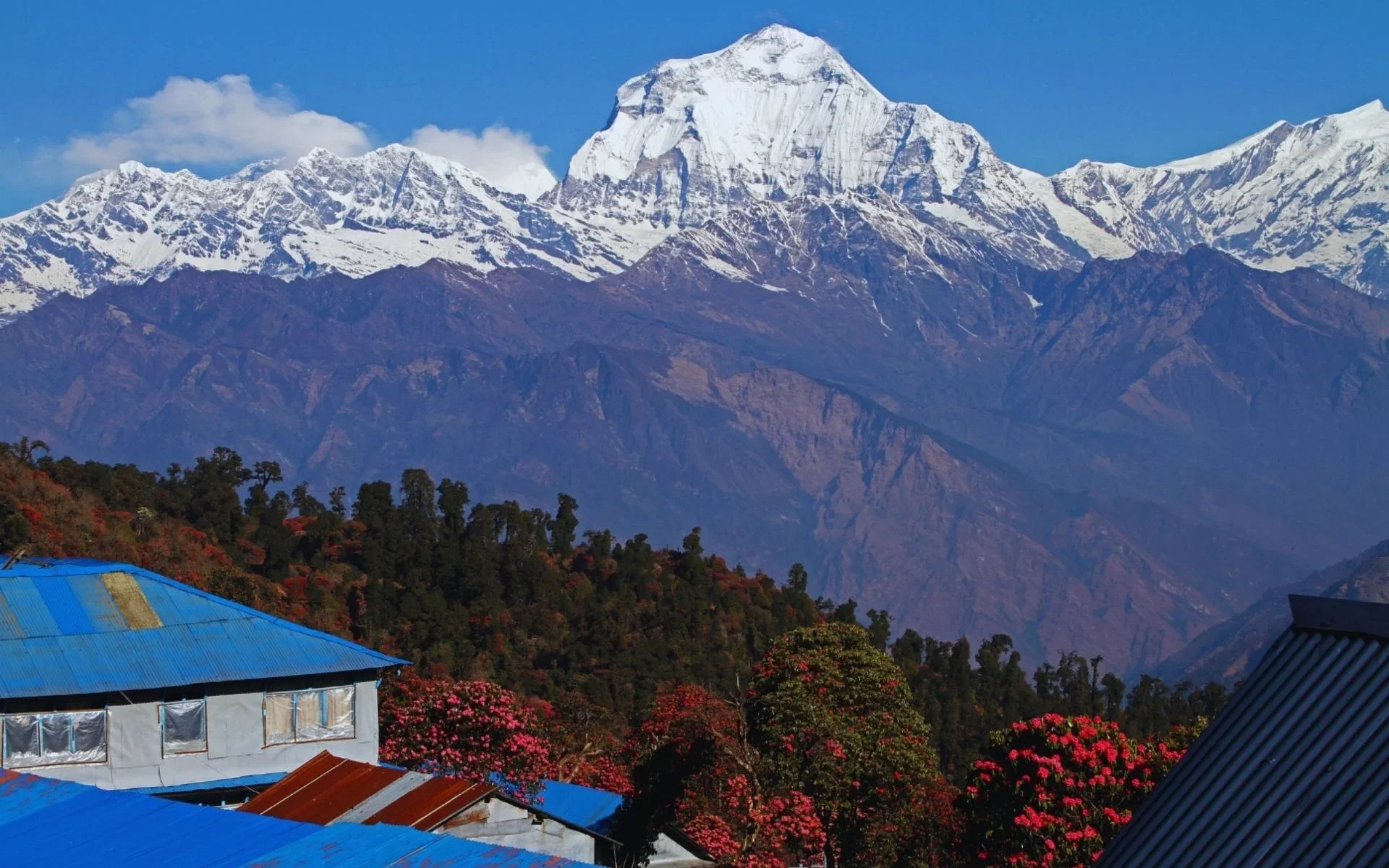 poonhill with clear mountain view