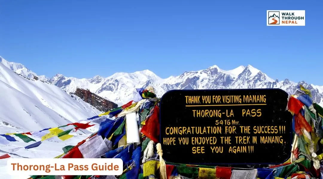 Thorong La Pass: Complete Guide to Nepal's 5,416m High Mountain Pass