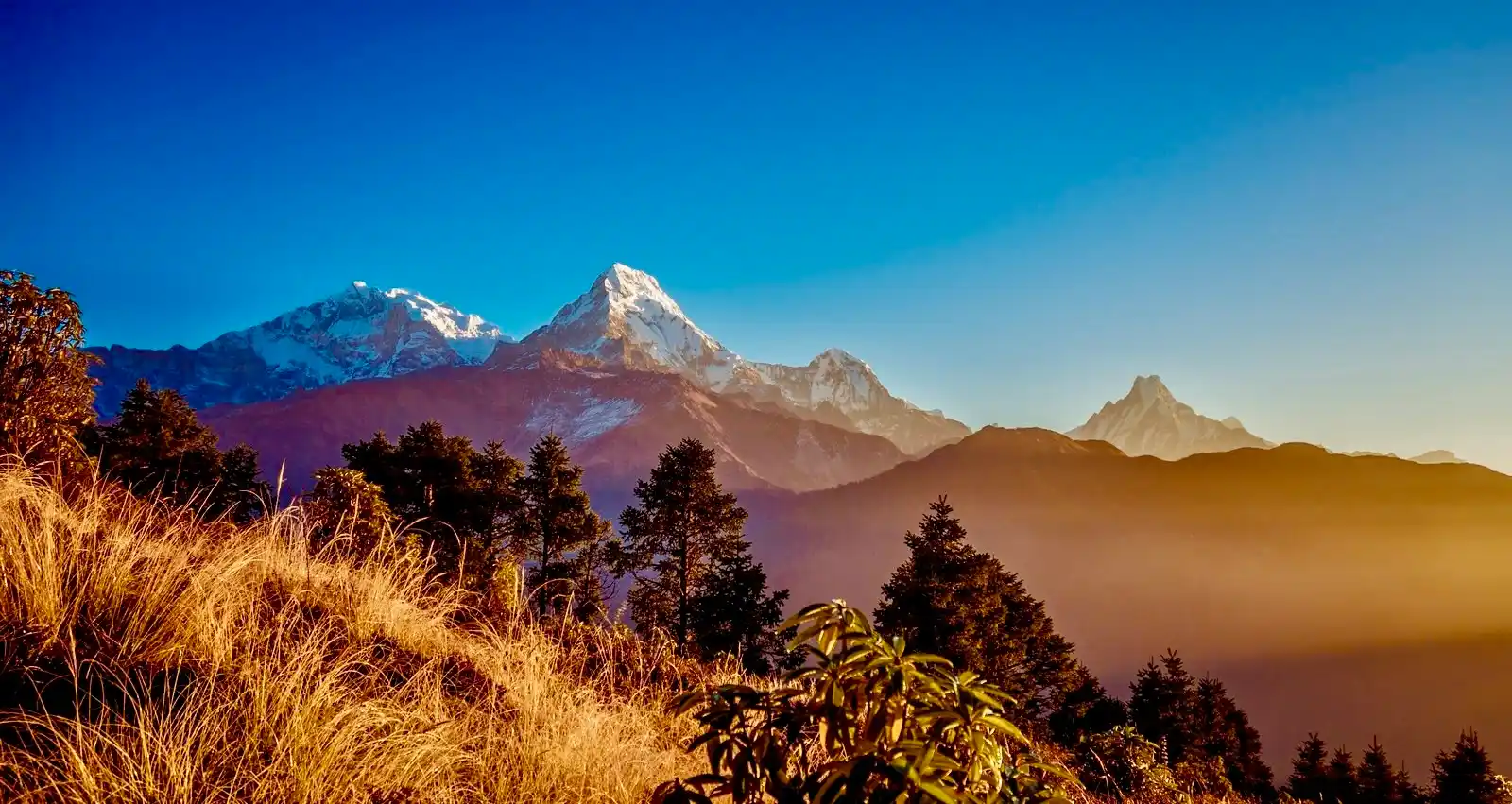 Photo 2: ghorepani poon hill sunrise view 1790059748597 uu75ob