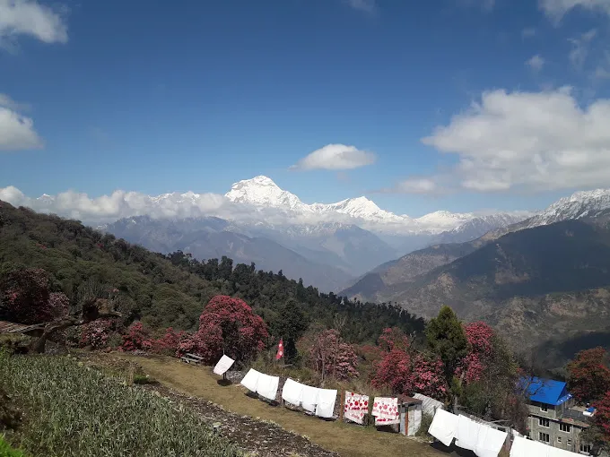 Photo 3: ghorepani poonhill mountain view 1785843986849 0624iw