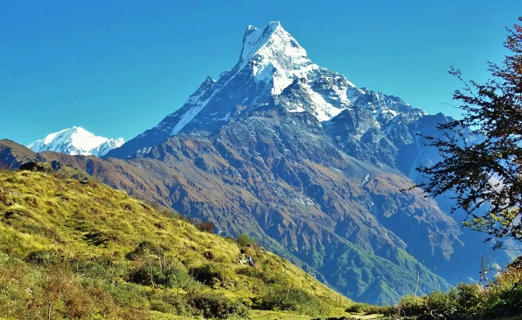 7-Day Mardi Himal Trek Package – Cost, Itinerary & Guide