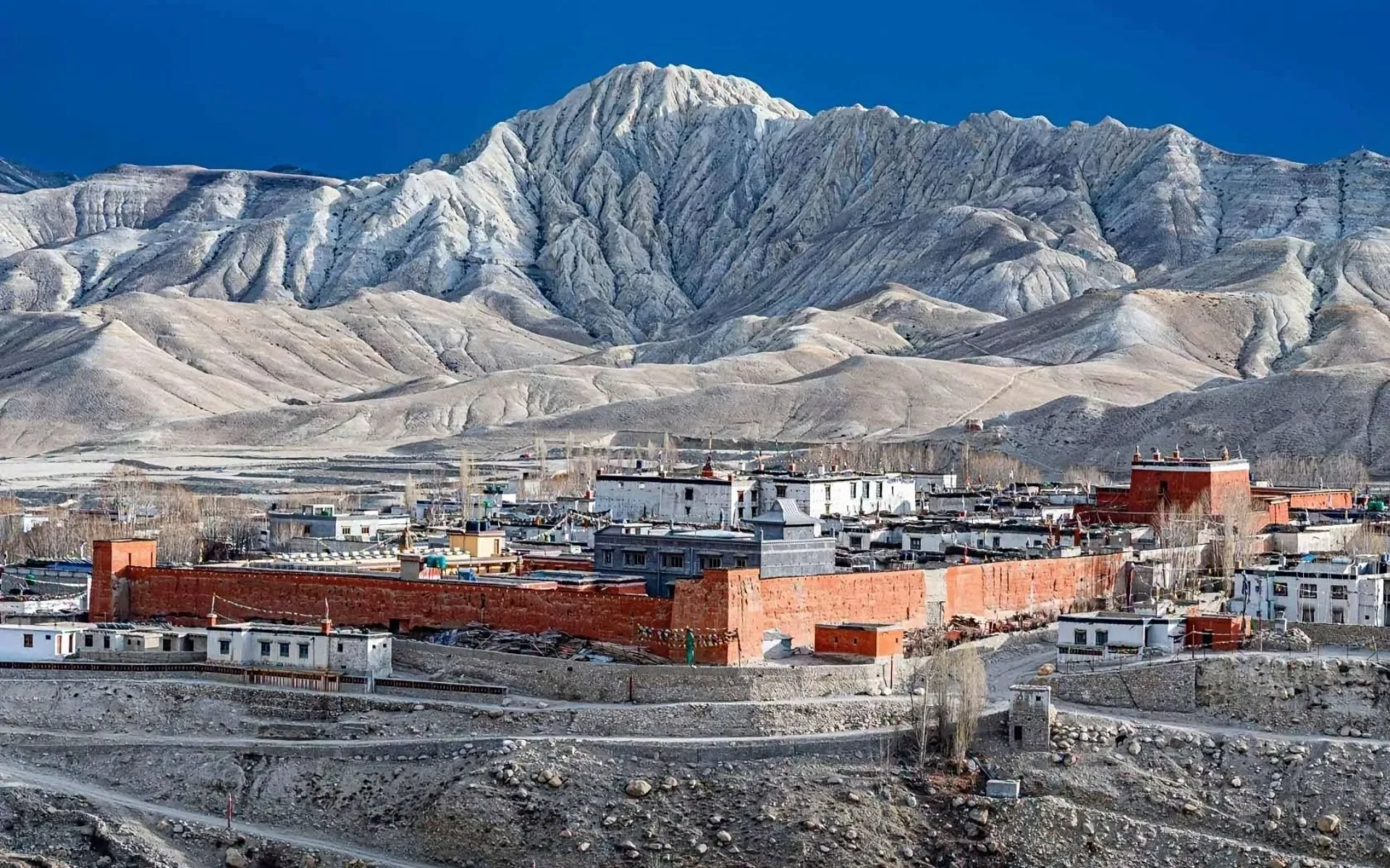 lo manthang mustang