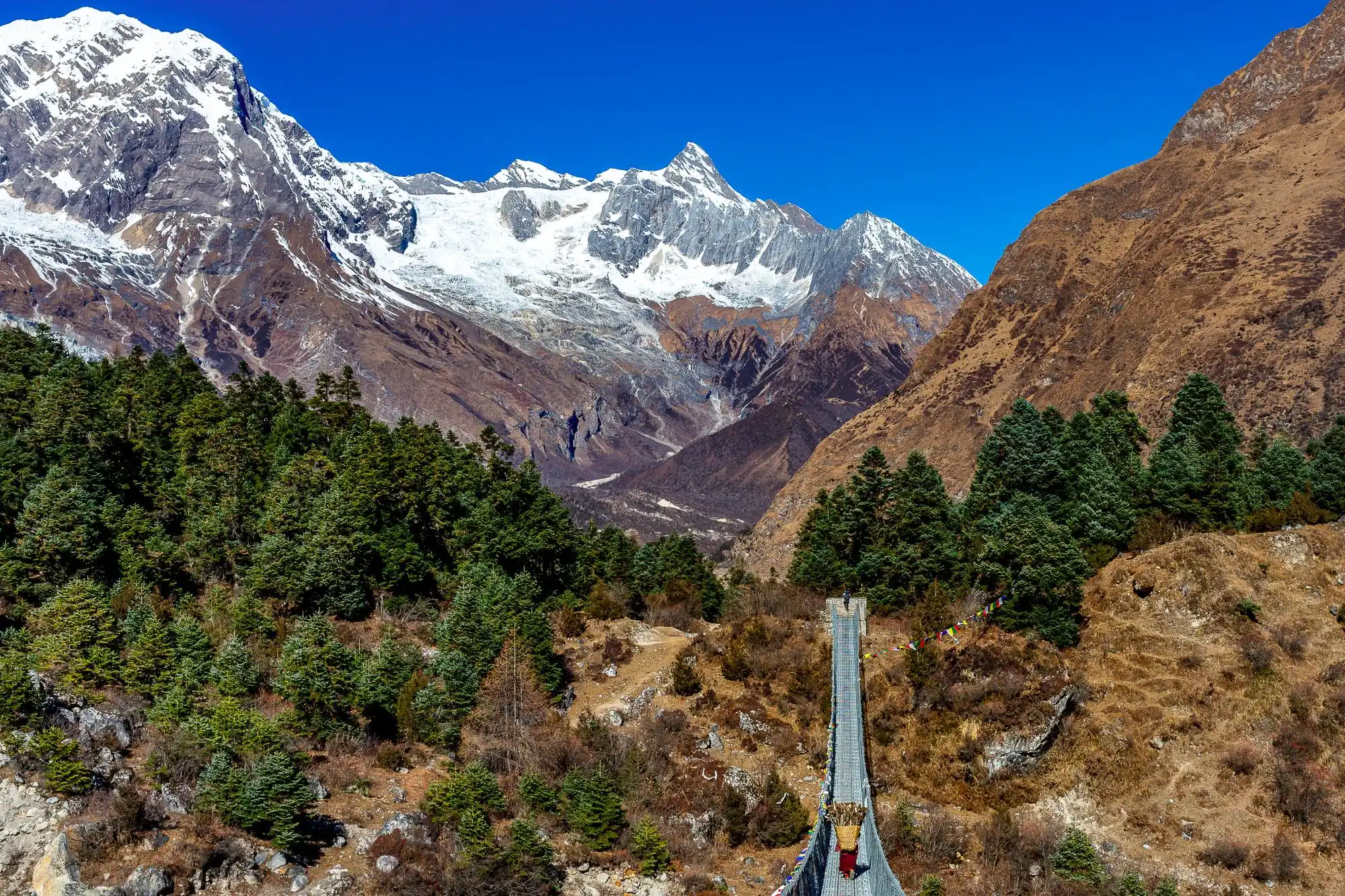 Photo 2: suspension bridge manaslu conservation area1 1790060821534 15koim