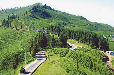 Illam Nepal in October