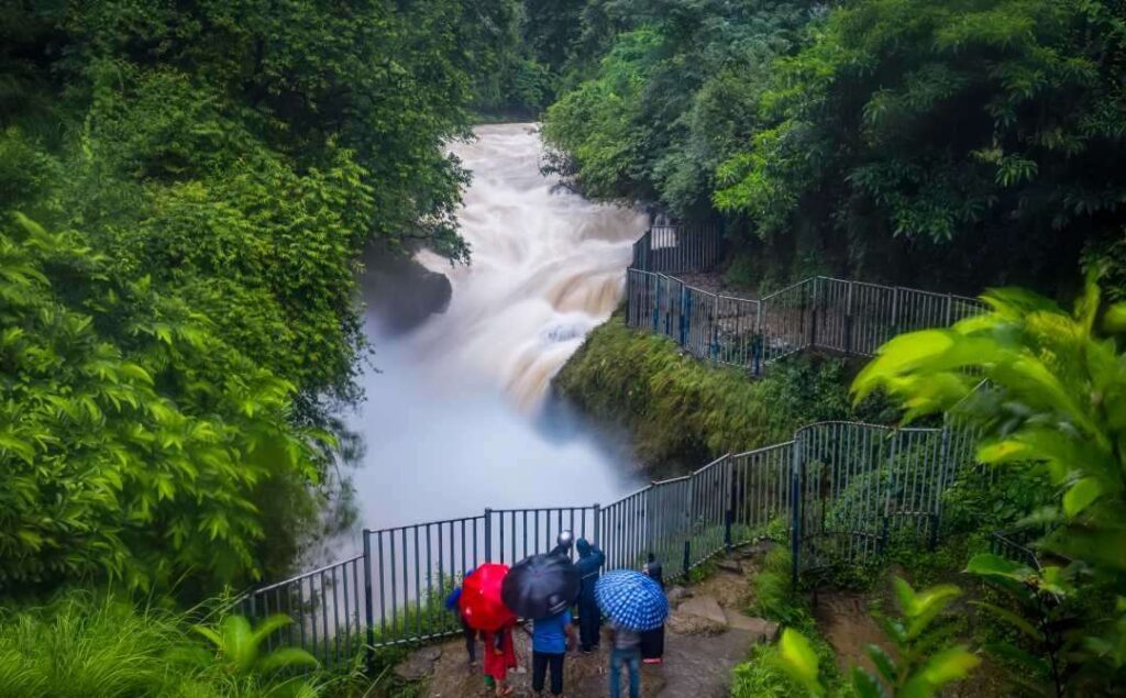 Devis_Falls